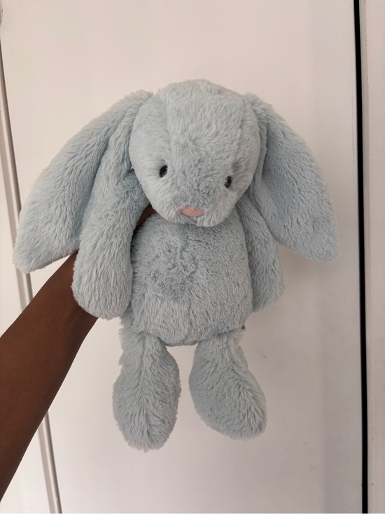 Jellycat Other - Jellycat Retired Bashful Beau Bunny Plush